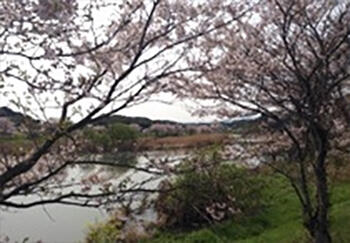 今川周辺の風景